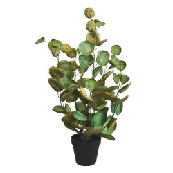 Aralia Polyscias pianta artificiale 60 cm