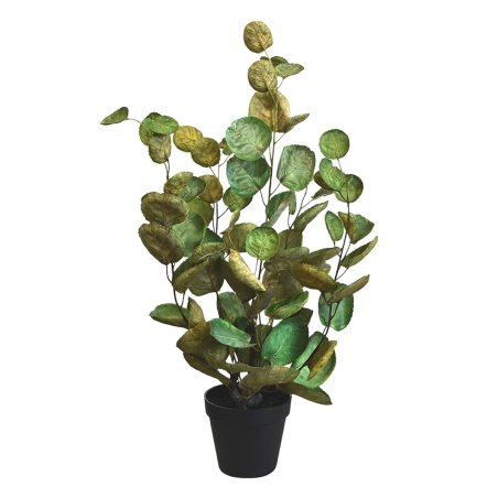 Aralia Polyscias pianta artificiale 60 cm