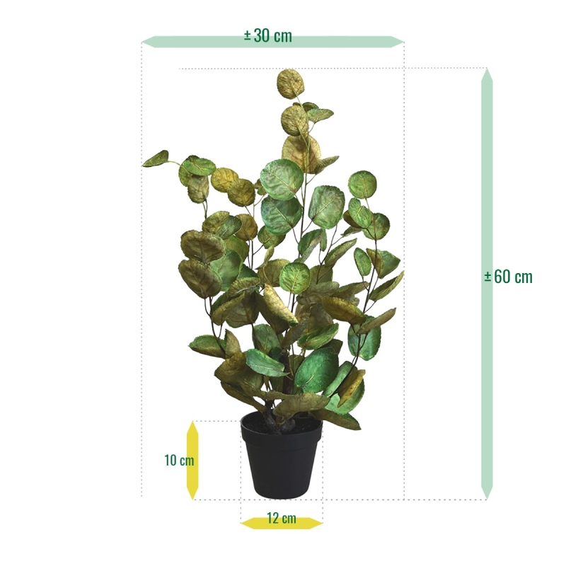 Aralia Polyscias pianta artificiale 60 cm