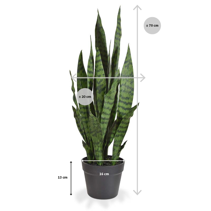 Pianta artificiale di Sanseveria N 70cm - verde