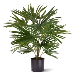 Baby Fan palma artificiale 45cm