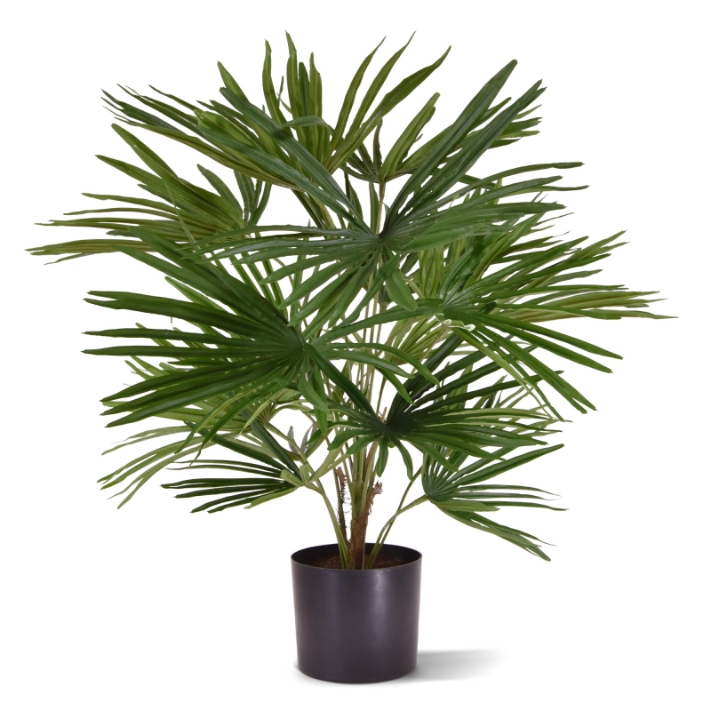 Baby Fan palma artificiale 45cm