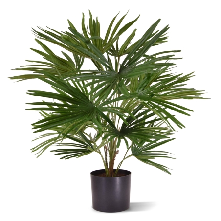 Baby Fan palma artificiale 45cm