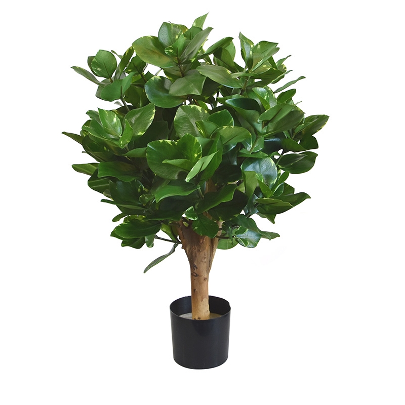 Clusia bulbo pianta artificiale 55cm