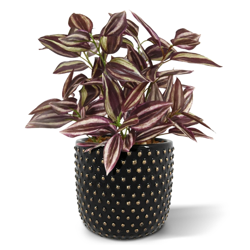 Pianta artificiale Tradescantia 18 cm - bordeaux