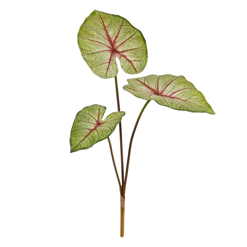 Caladium White Queen Pianta artificiale 60 cm