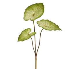 Caladium Aaron Pianta artificiale 60 cm