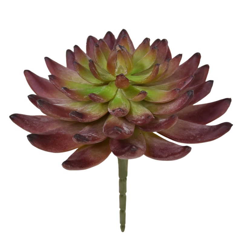 Cactus artificiale Echeveria Borgogna 15 cm