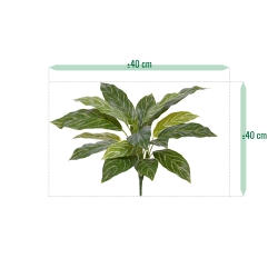 Aglaonema 40cm pianta artificiale RT