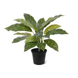 Aglaonema 40cm pianta artificiale RT