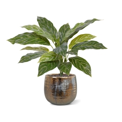 Aglaonema 40cm pianta artificiale RT