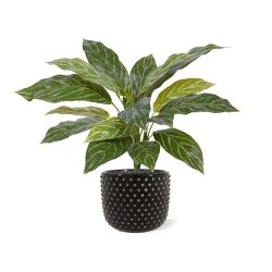 Aglaonema 40cm pianta artificiale RT