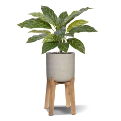 Aglaonema 40cm pianta artificiale RT
