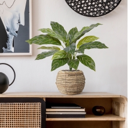 Aglaonema 40cm pianta artificiale RT