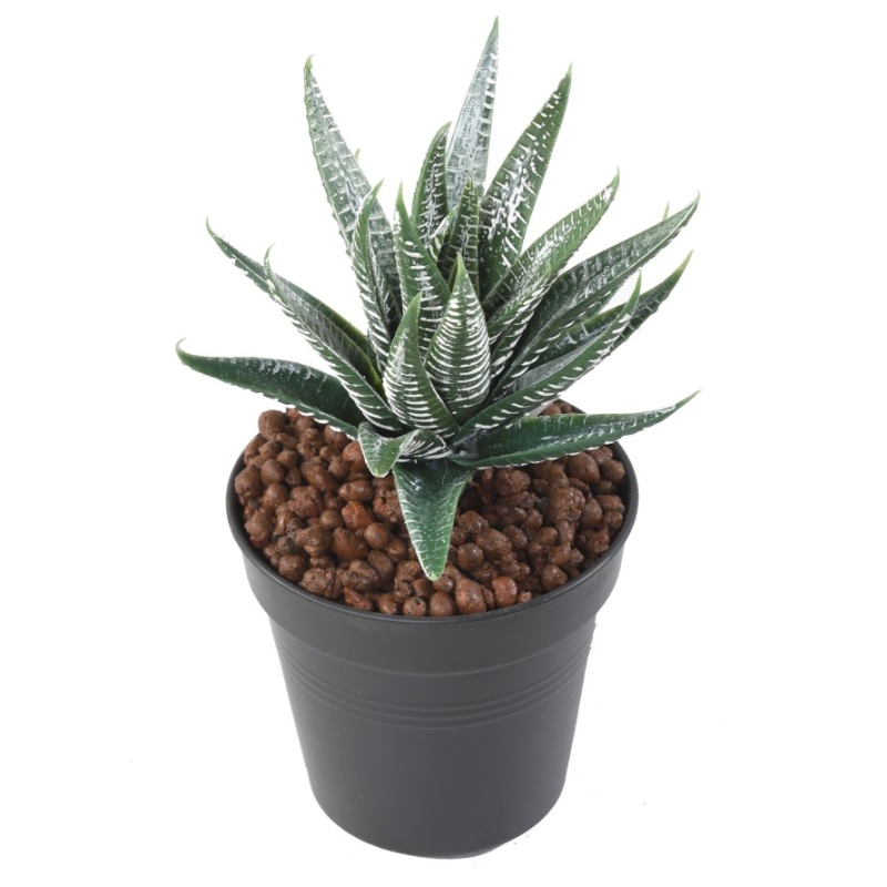 Aloe artificiale verde-bianca con picchetto 15 cm