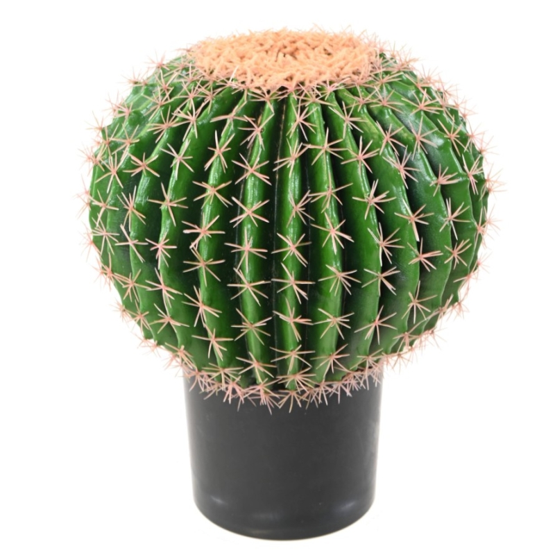 Cactus Echinocactus artificiale in vaso 50 cm