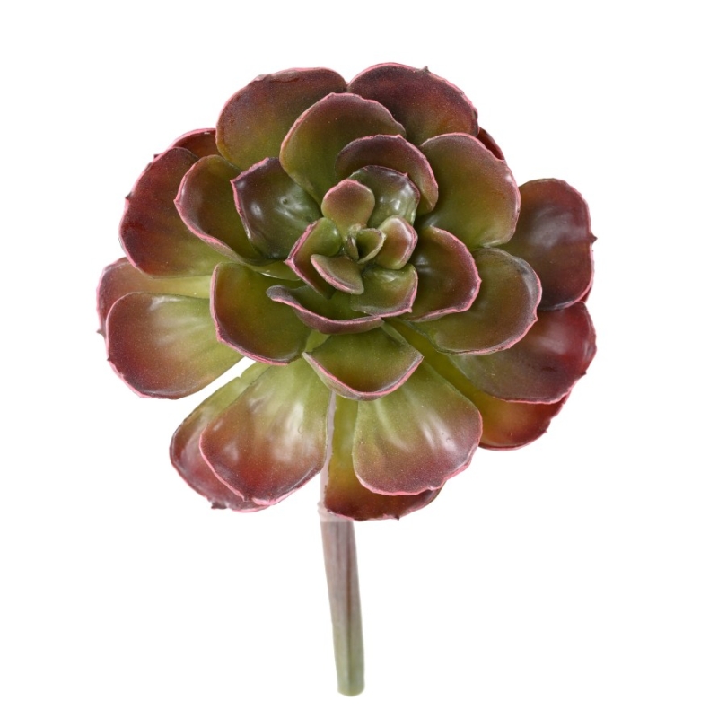 Crassula Echeveria artificiale con picchetto 22 cm