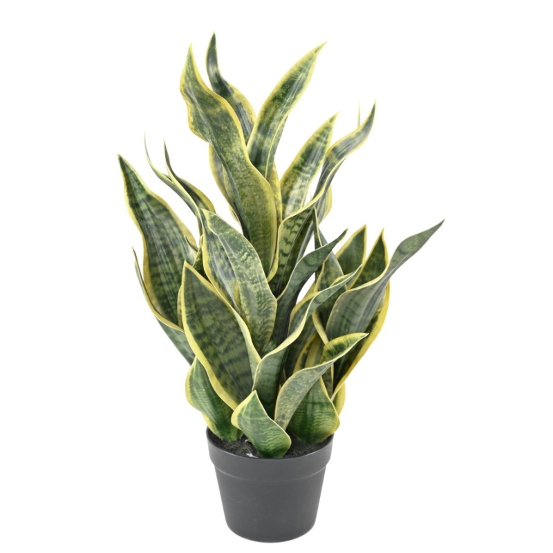 Sansevieria Masoniana artificiale in vaso 66 cm