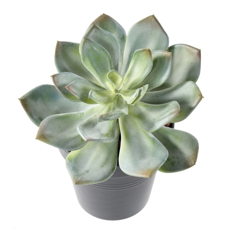 Artificial succulent rosette with spike 12 cm