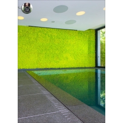 WALL OF LICHEN - panels 100x100cm Various Colors