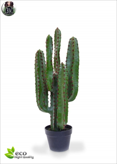 Cactus Artificiale euphorbia LUX H. 70 cm