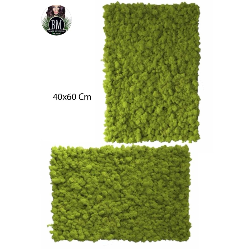 LICHEN WALL Panels from 75x75m Different Colors 
