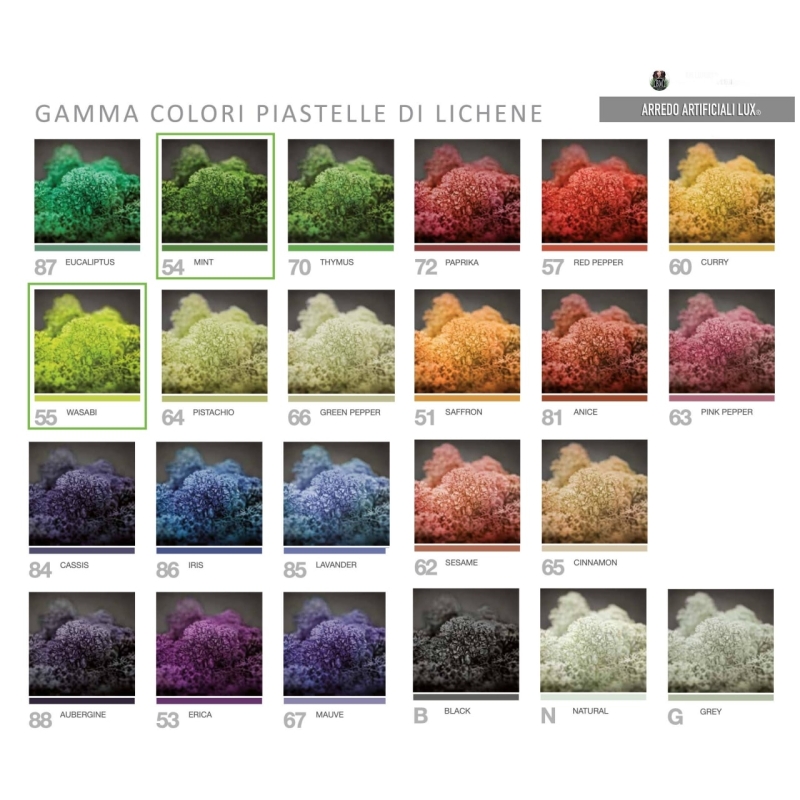 LICHEN WALL Panels from 75x75m Different Colors 