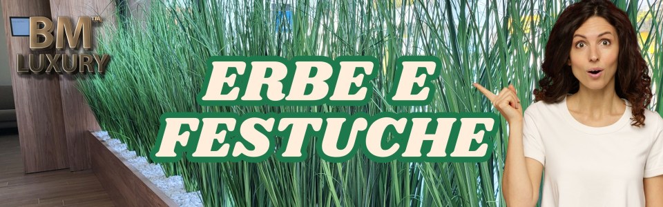 Erbe e Festuche