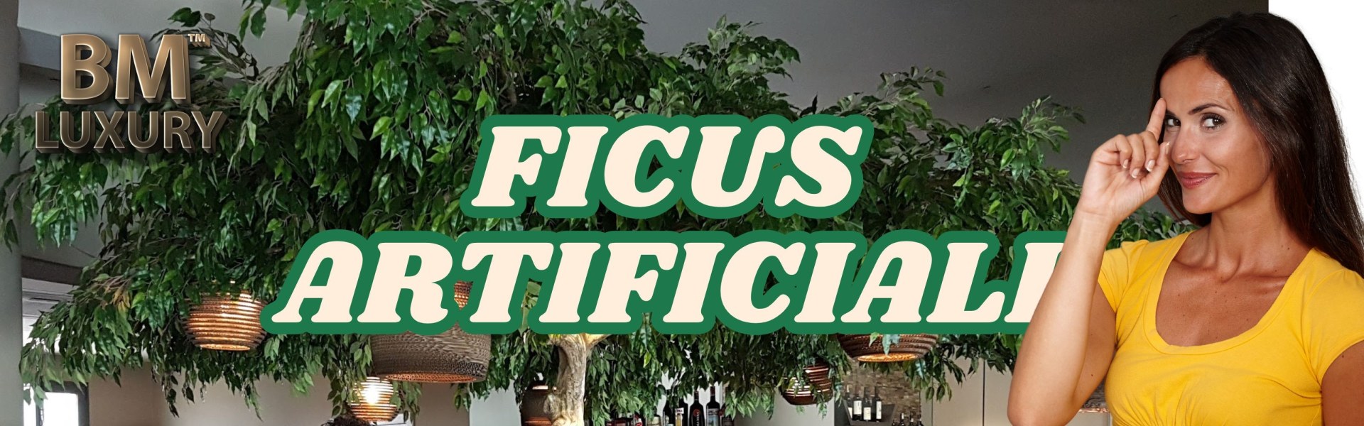 Ficus Artificiali