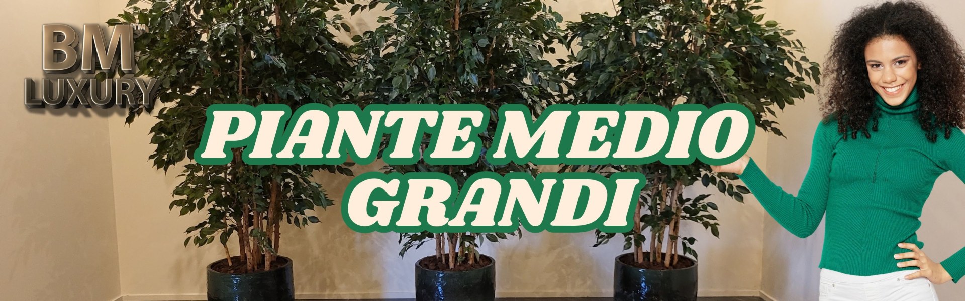 Piante Artificiali Altezza Medio Grandi