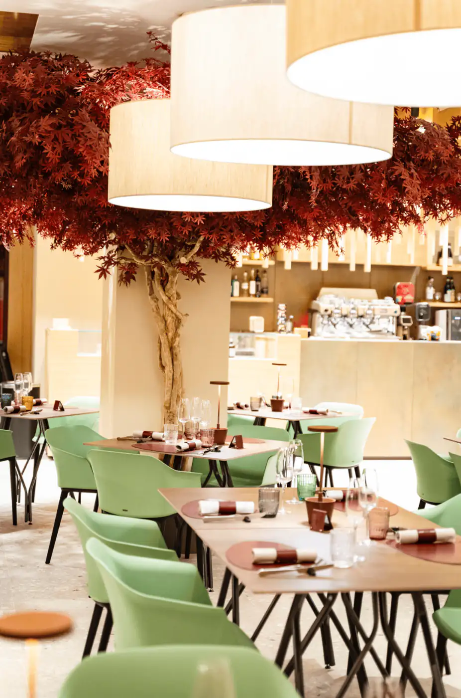 Albero di acero artificiale con tronco vero nella sala del Ristorante Acero Rosso