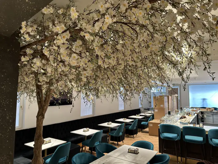 Locale Blanco a Orzinuovi – foto 2