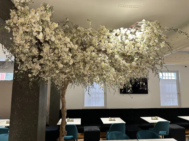 Locale Blanco a Orzinuovi – foto 3