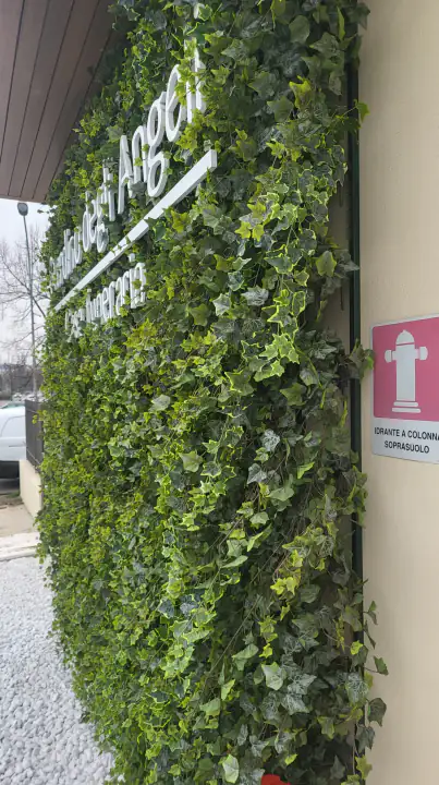 Come scegliere il giardino verticale artificiale perfetto per casa o ufficio – foto 6