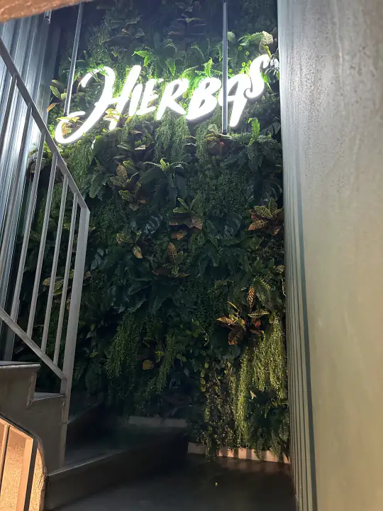 Hierbas Milano – foto 2