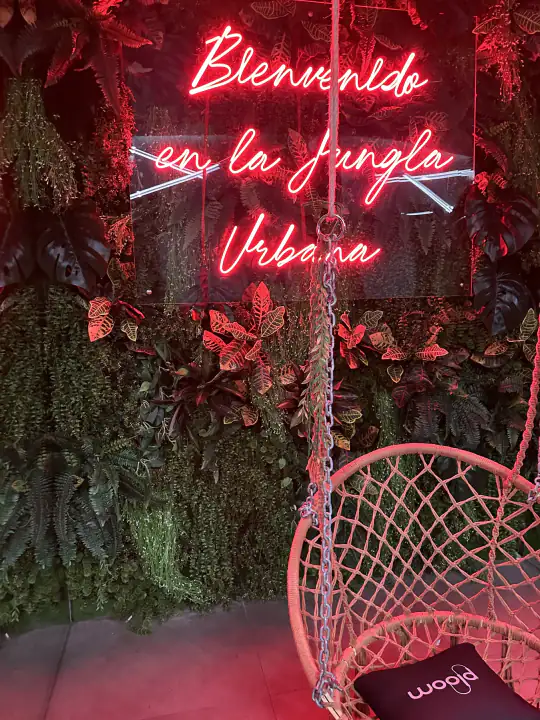 Hierbas Milano – foto 4