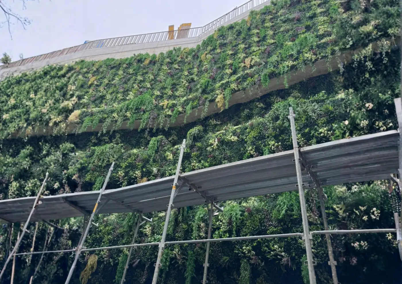Giardino verticale UV resistant su parete in cemento di un residence a Lugano