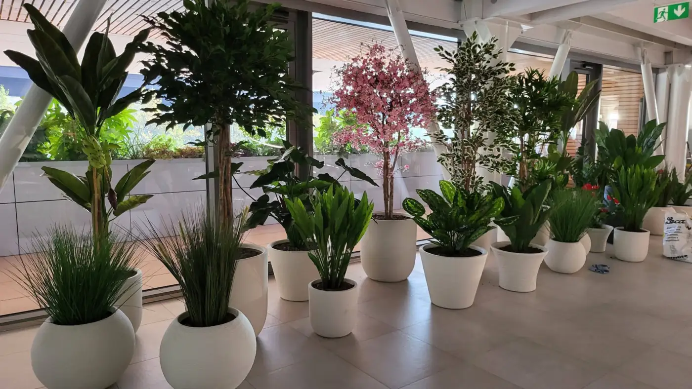 Uffici del Gruppo Comini con piante artificiali LUX