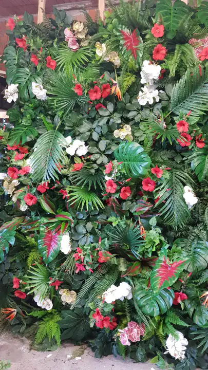 Jungle Style Colour – foto 2