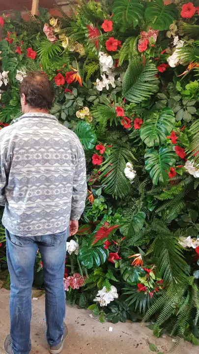 Jungle Style Colour – foto 3