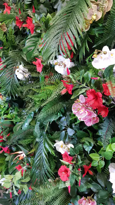 Jungle Style Colour – foto 4