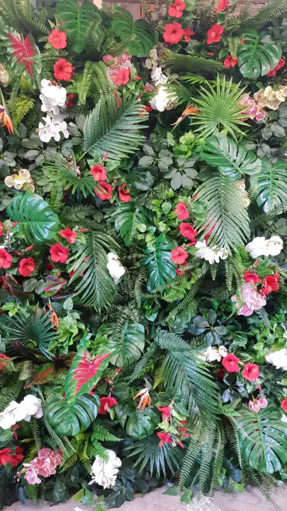 Jungle Style Colour – foto 5