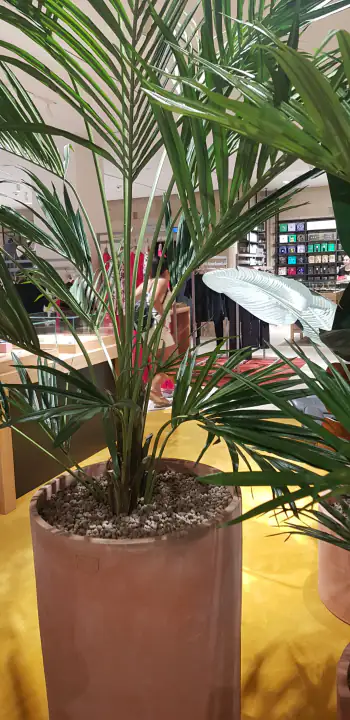 La Rinascente – foto 5