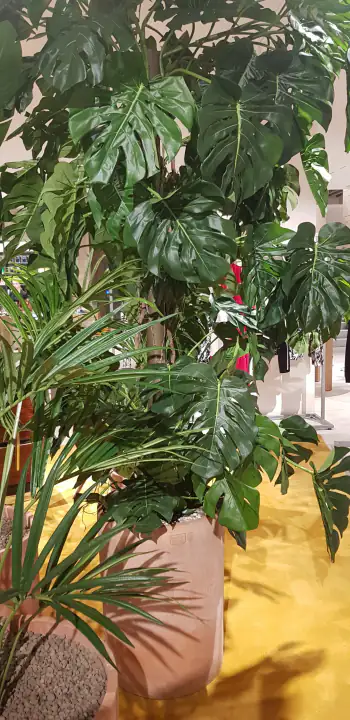 La Rinascente – foto 6