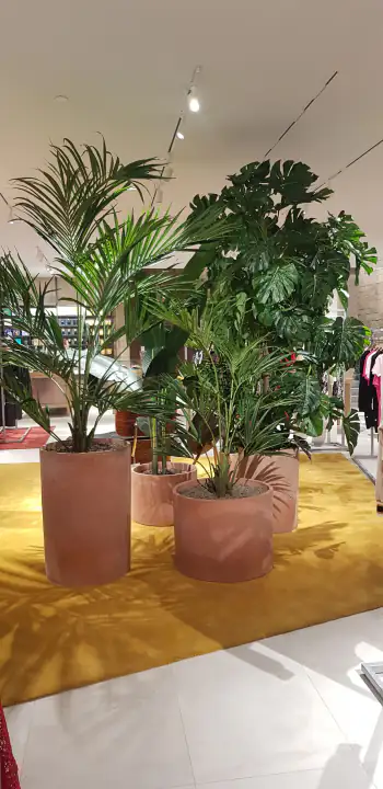 Perché le piante artificiali sono diventate così popolari – foto 4