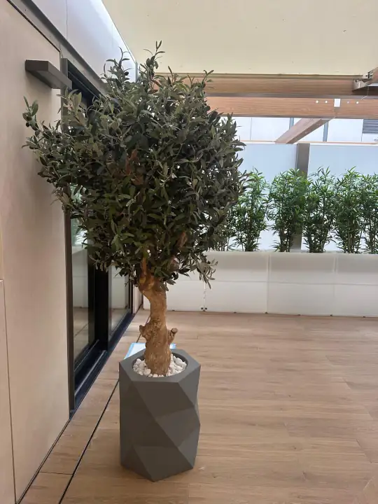 Piante artificiali di alta gamma – foto 1
