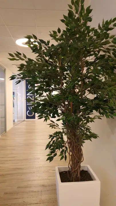 Piante artificiali di alta gamma – foto 5