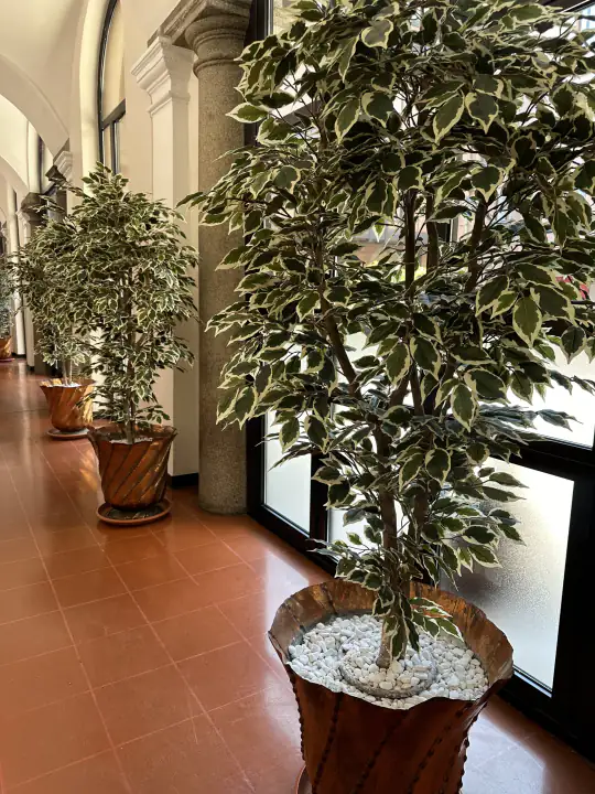Ospedale San Giuseppe di Milano – foto 6