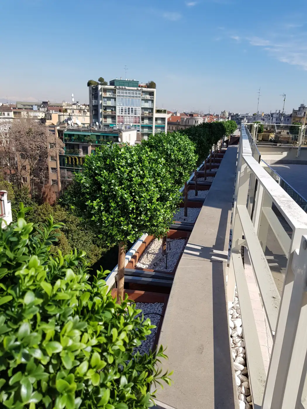 Attico a Milano con alberelli di bosso artificiale