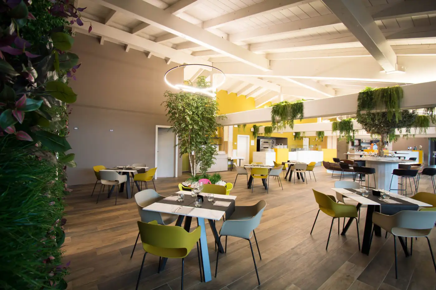 Ristorante pizzeria con bosco di betulle artificiali